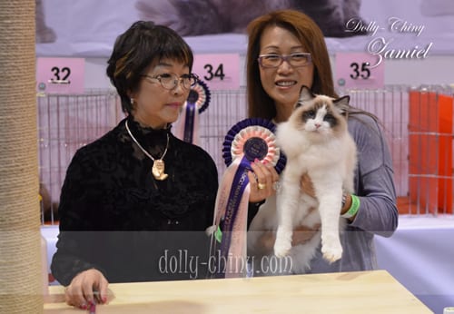 zamiel 20160221 hkbcc r6