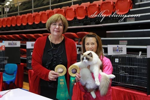 zamiel 20160424 hkicc ring5