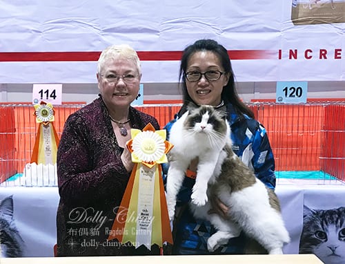 zamiel 20180210 11 hkbcc r7