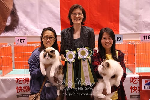 zamiel n yarden 20180210 11 hkbcc r4