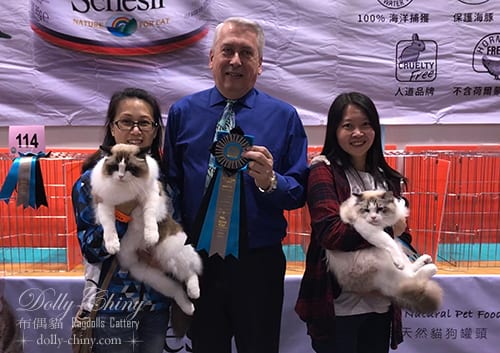 zamiel n yarden 20180210 11 hkbcc r8